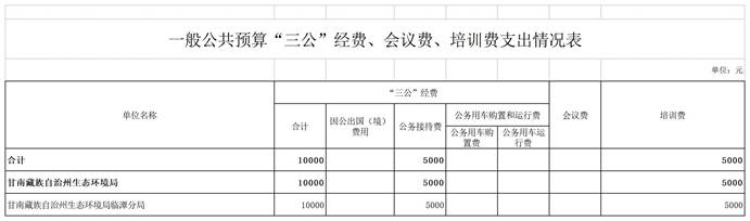 004临潭分局2023年部门预算公开表_表8